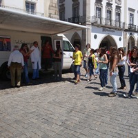 ELT 2008-2011