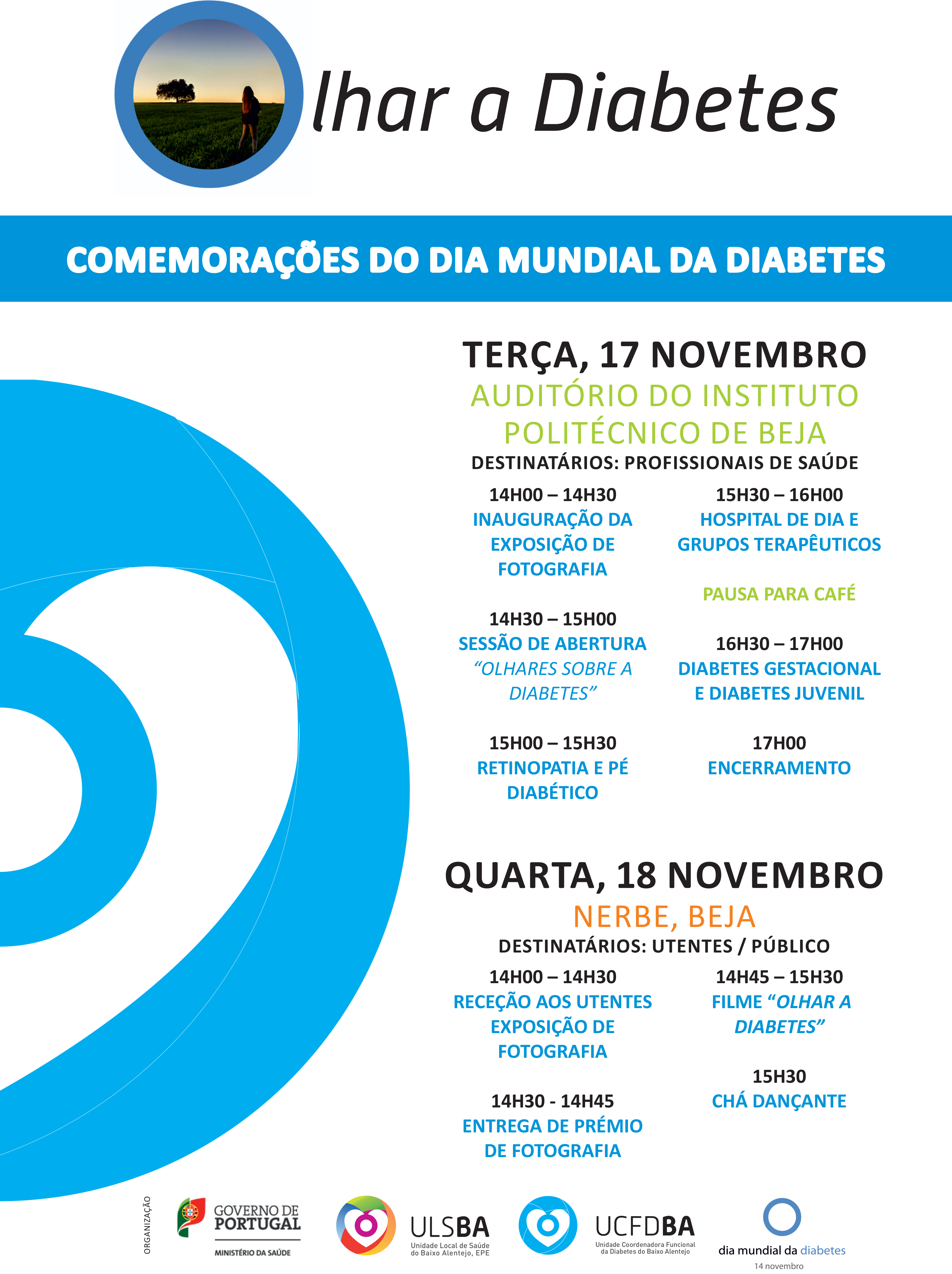 DMD2015-POSTER.jpg