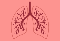 Programa Nacional para a Tuberculose organiza ciclo de formação.png