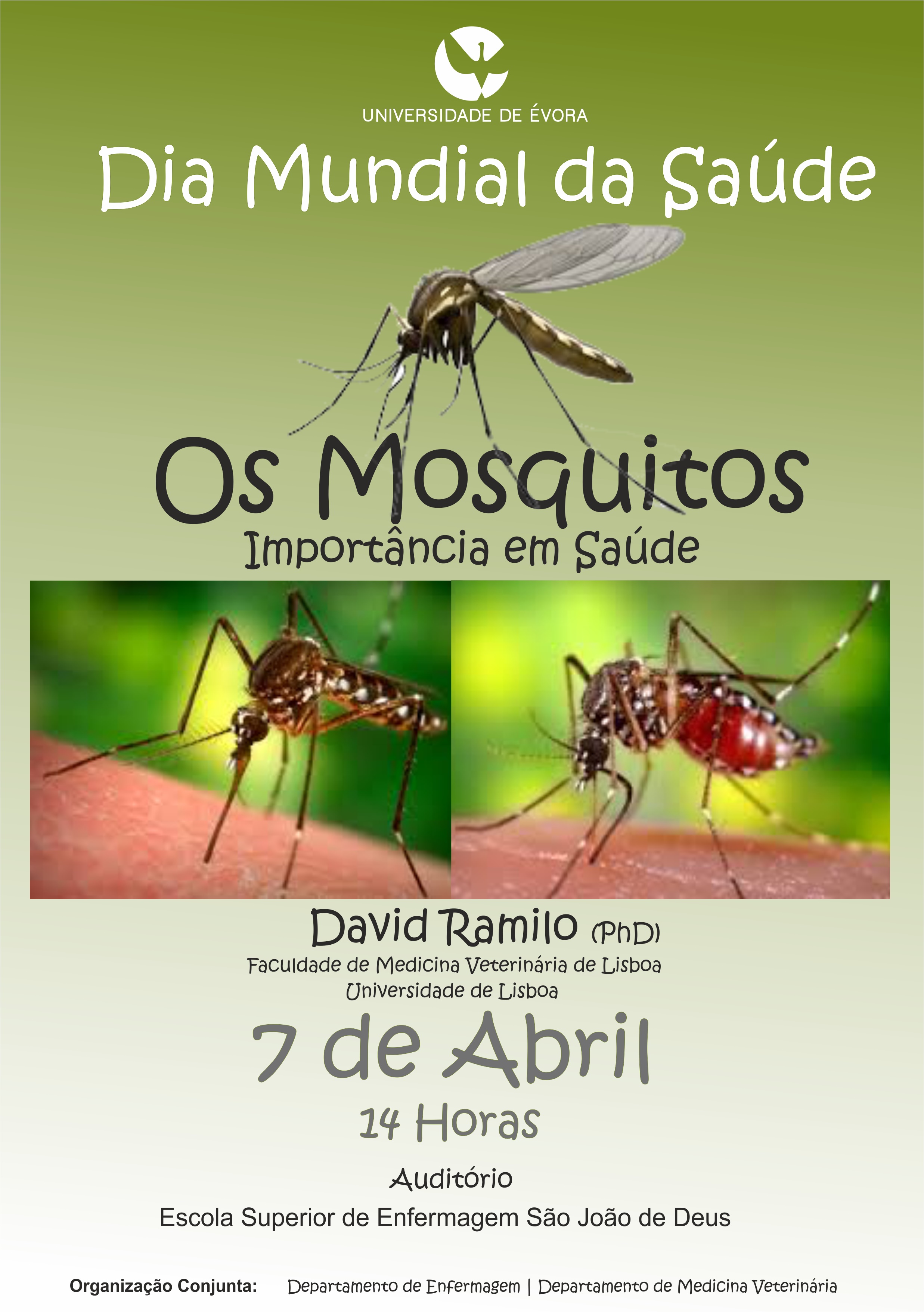 os mosquitos-importancia em saude.jpg