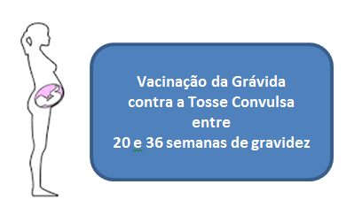 imagem-gravida.png