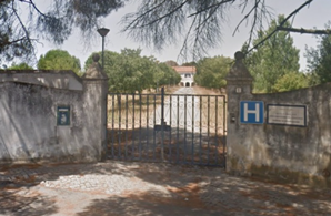 Foto1.png